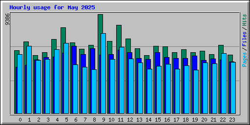 Hourly usage for May 2025