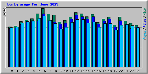 Hourly usage for June 2025