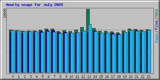 Hourly usage for July 2025