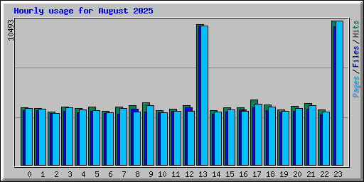 Hourly usage for August 2025
