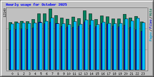 Hourly usage for October 2025