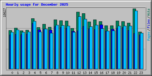 Hourly usage for December 2025