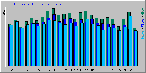 Hourly usage for January 2026