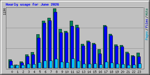 Hourly usage for June 2026